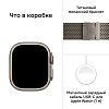 Часы Apple Watch Ultra 4 GPS 49 мм, корпус натуральный титан (Natural Titanium), ремешок Alpine, цвет: пустынный (Desert), размер: S