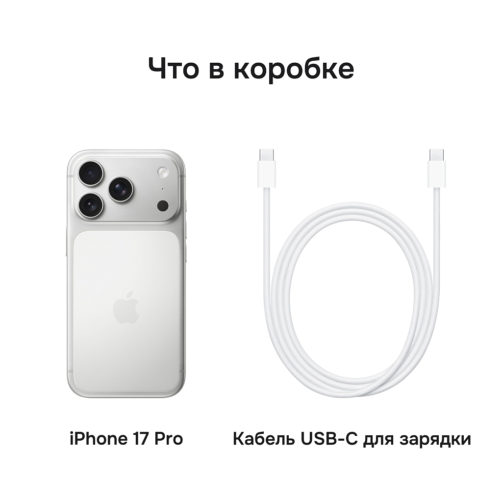 Смартфон Apple iPhone 17 Pro 256 ГБ (Серебристый | Silver) Dual-SIM