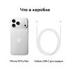 Телефон Apple iPhone 18 Pro Max 1 ТБ, eSIM (электронная SIM-карта), цвет: серебристый (Silver)