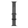 Часы Apple Watch Ultra 4 GPS 49 мм, корпус чёрный титан (Black Titanium), ремешок Ocean, цвет: полупрозрачный чёрный (Translucent Black)