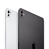 Apple iPad Pro 13" (2024) Wi-Fi + Cellular 1 ТБ, серебристый