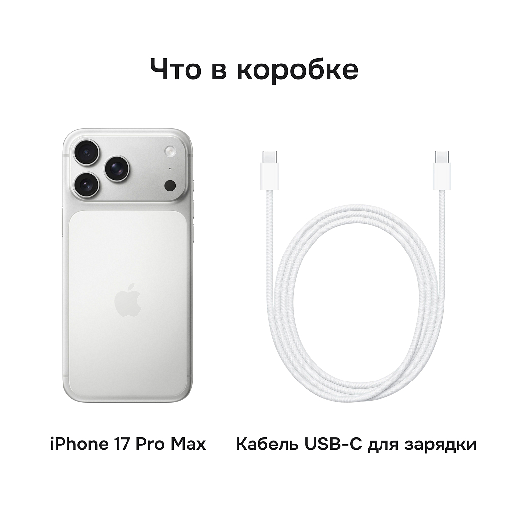 Смартфон Apple iPhone 17 Pro Max 1 ТБ (Серебристый | Silver) Dual-SIM